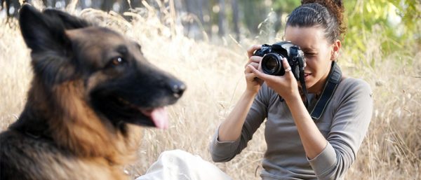 woman taking photo of german shepherd dog